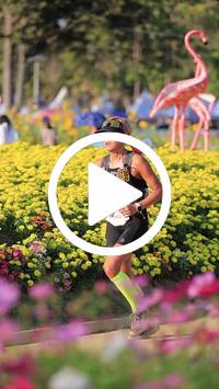 BIB:  <button type="button" onclick="openModal(27588604)" class="btn btn-primary btn-sm float-right" data-toggle="modal" data-target=".modal-high-quality">
                <i class="fa fa-download"></i> Download
                </button>